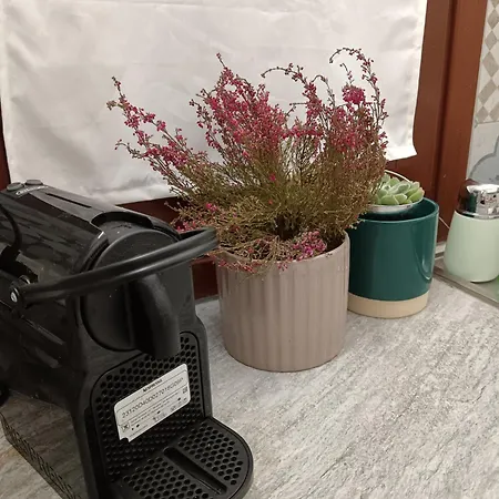 アパート Casa Petri *